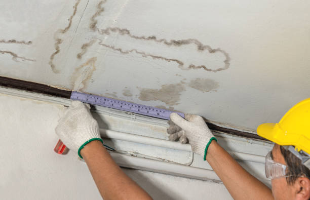 Reliable Structural Drying contractor in Burgoon, OH by Water Damage Irwin